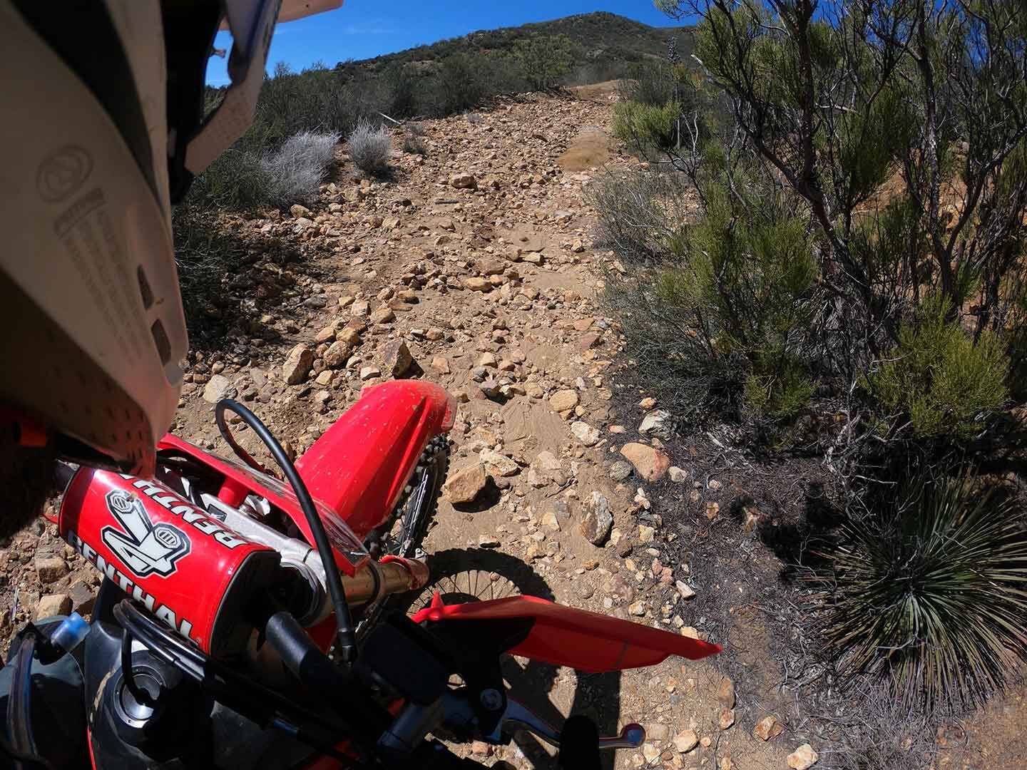 Despite firm-ish suspension settings, the CRF250RX is surprisingly versatile and able to tackle a variety of terrain.
