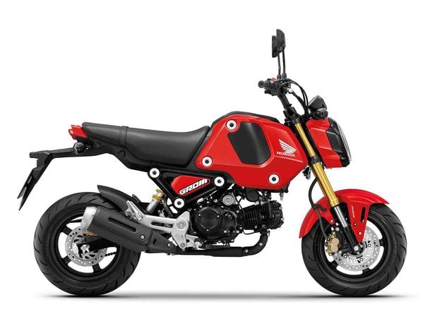 Grom 2022 Msx125 Honda 2021 2021 Honda Grom 125 First Look Preview