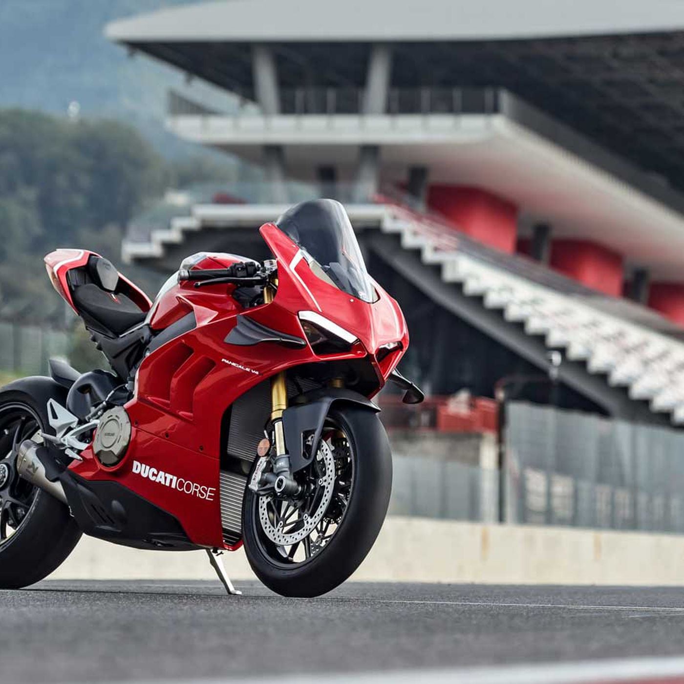 belønning Dalset arbejde 2019 Ducati Panigale V4 R First Look | Motorcyclist