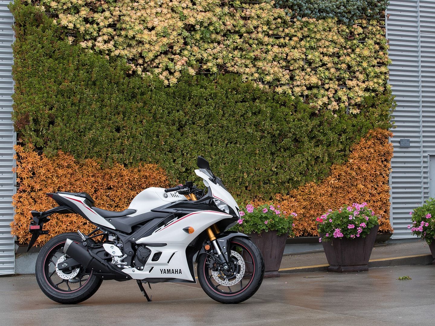 2019 Yamaha YZF-R3 MC Commute Review | Motorcyclist