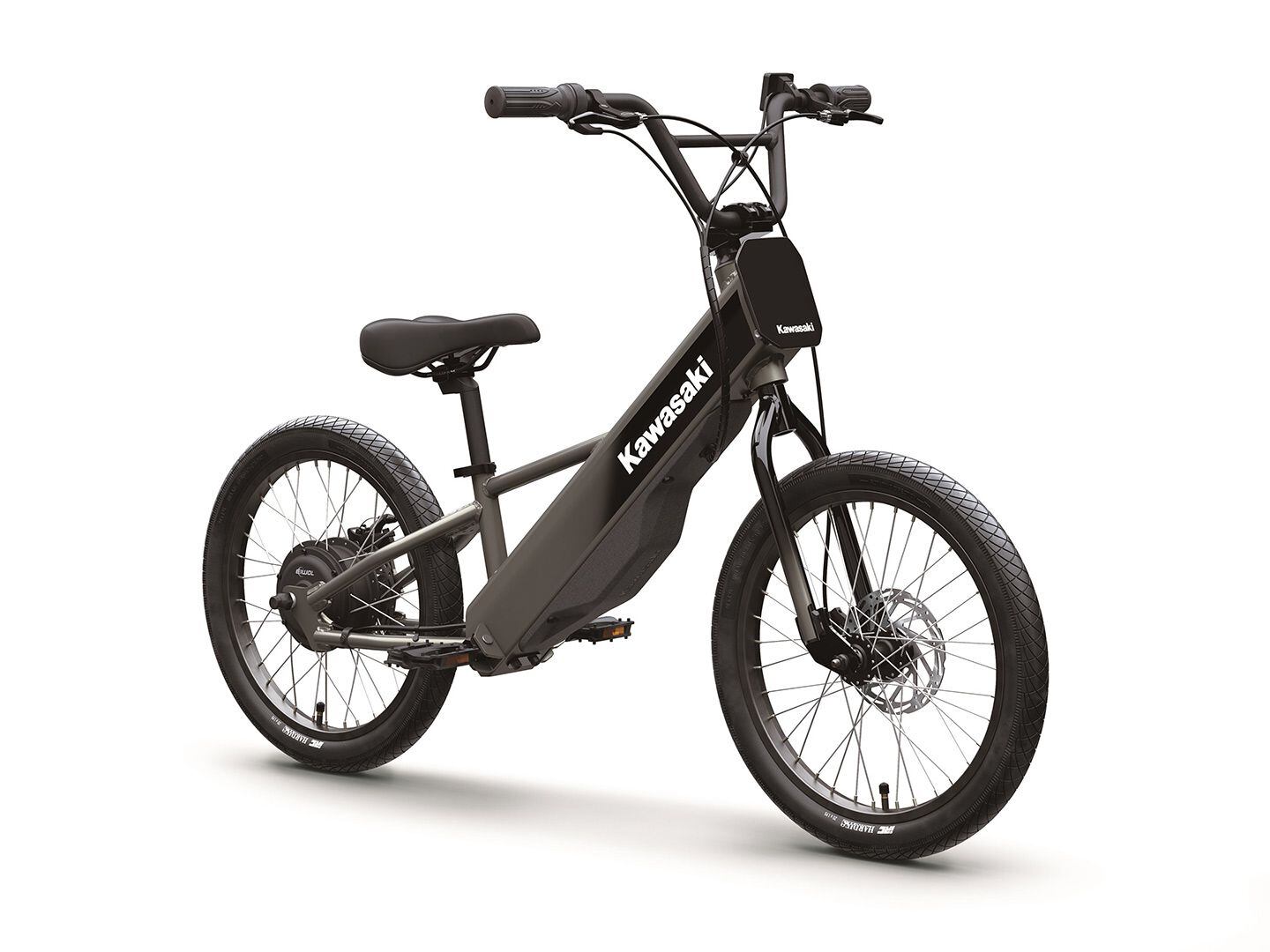 The 2025 Kawasaki Elektrode 20FS will be available this fall.