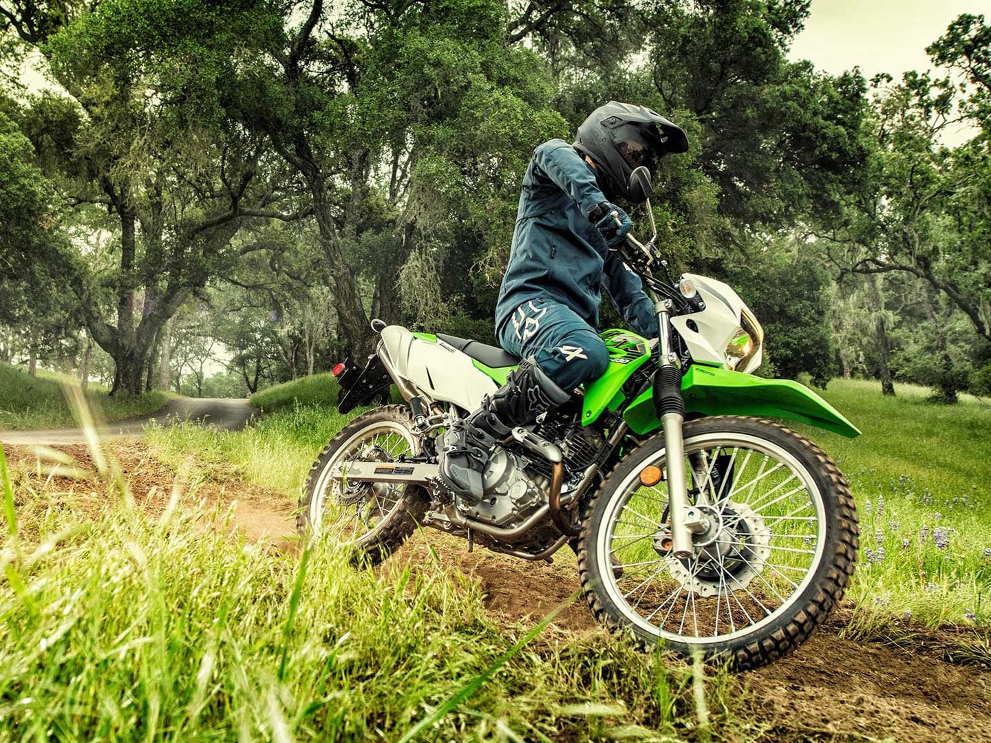 2020 kawasaki klx230