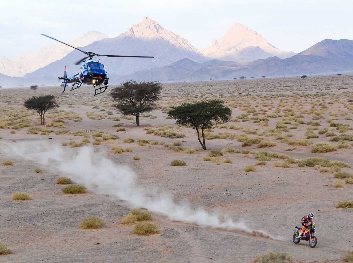 Toby Price aboard the Red Bull KTM Factory bike rides during Stage 11 of the Dakar Rally, navigating his way from Shubaytah to Haradh.