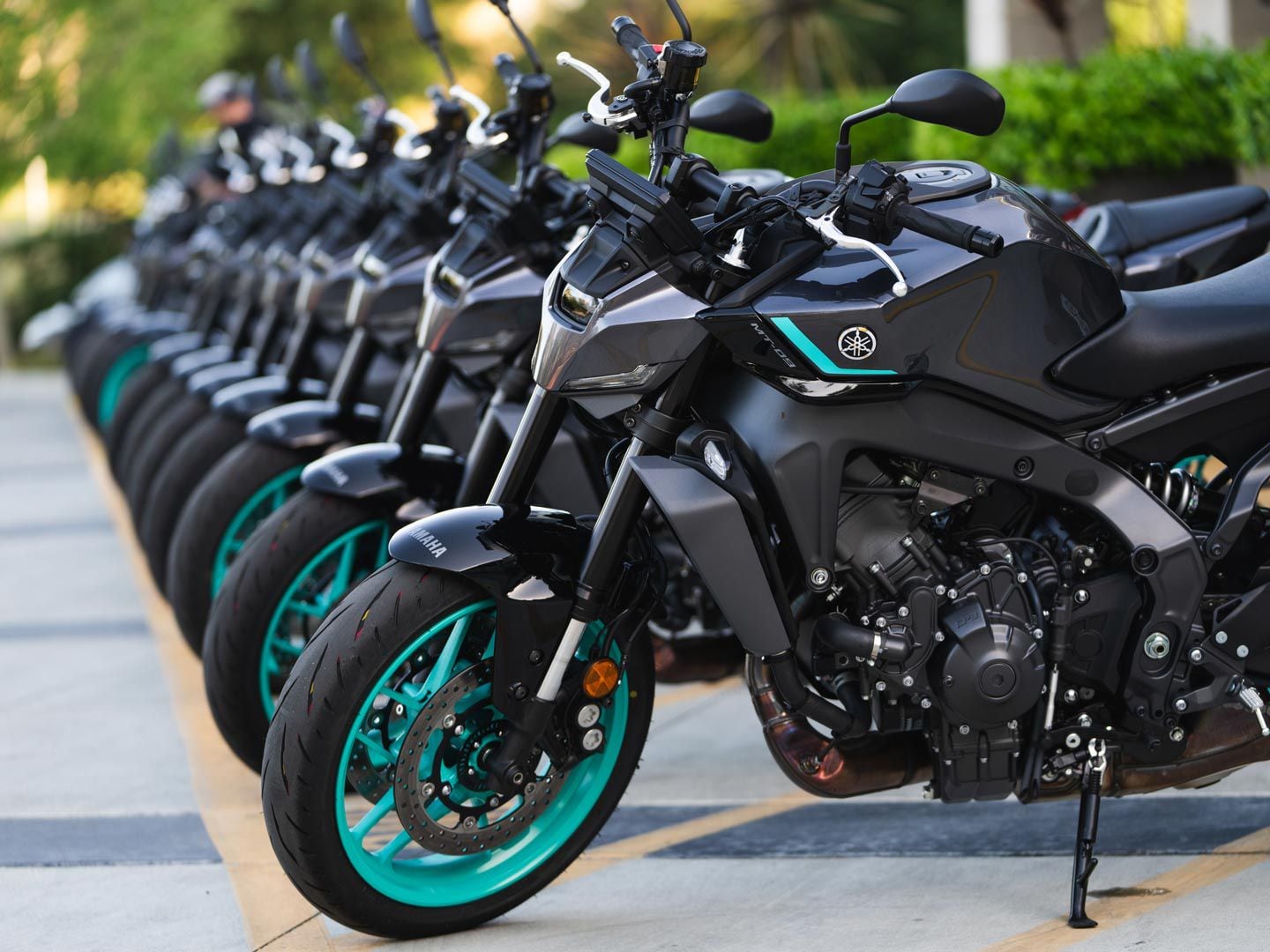 Everything You Need to Know about the 2024 Yamaha MT-09