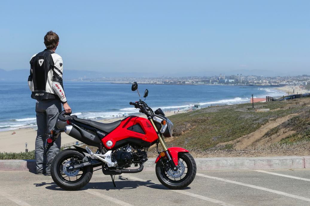 2014 Honda Grom 125 | Motorcyclist