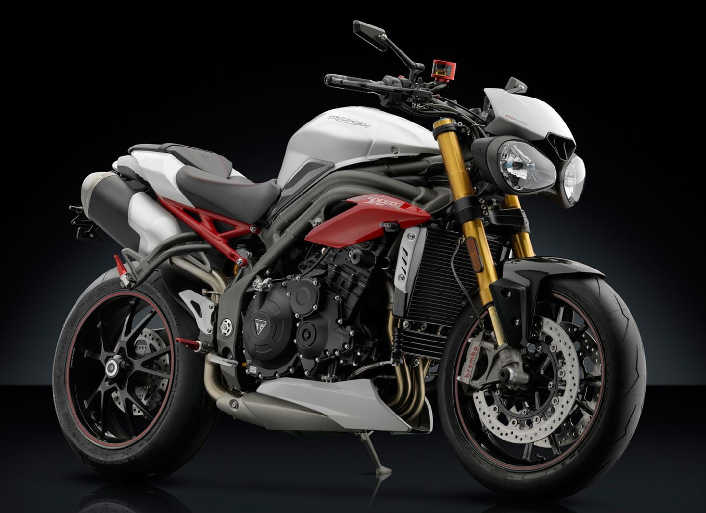 激レア　vrscdx rizoma製　トリプルツリー New Products: Rizoma Accessories for Speed Triple and FZ-10
