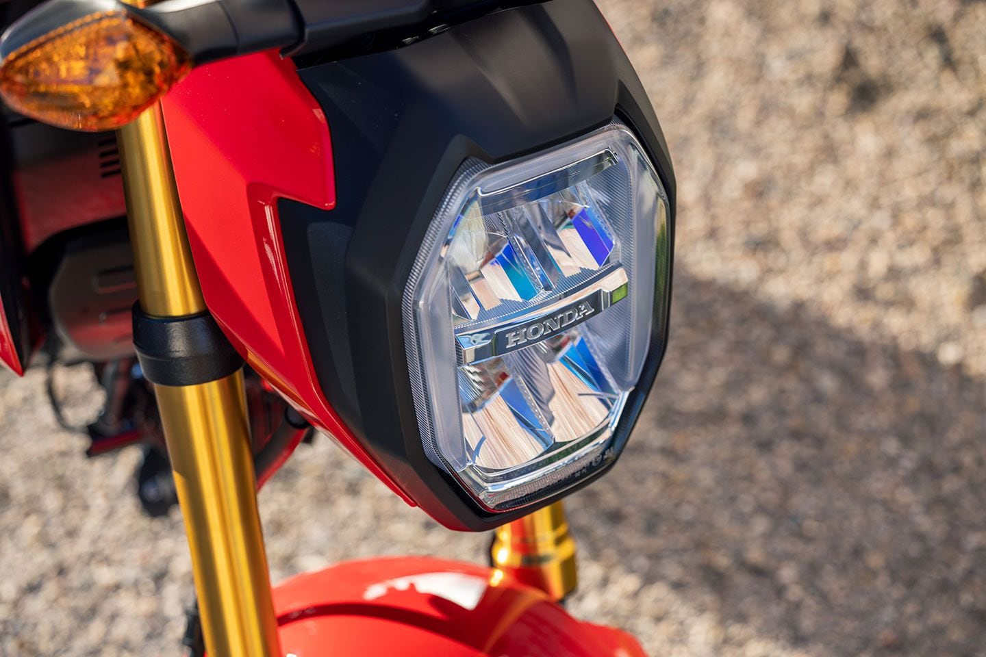 In addition to new body panels and more aggressive design, the 2025 Grom gets a new headlight cover and tons of new accessories.