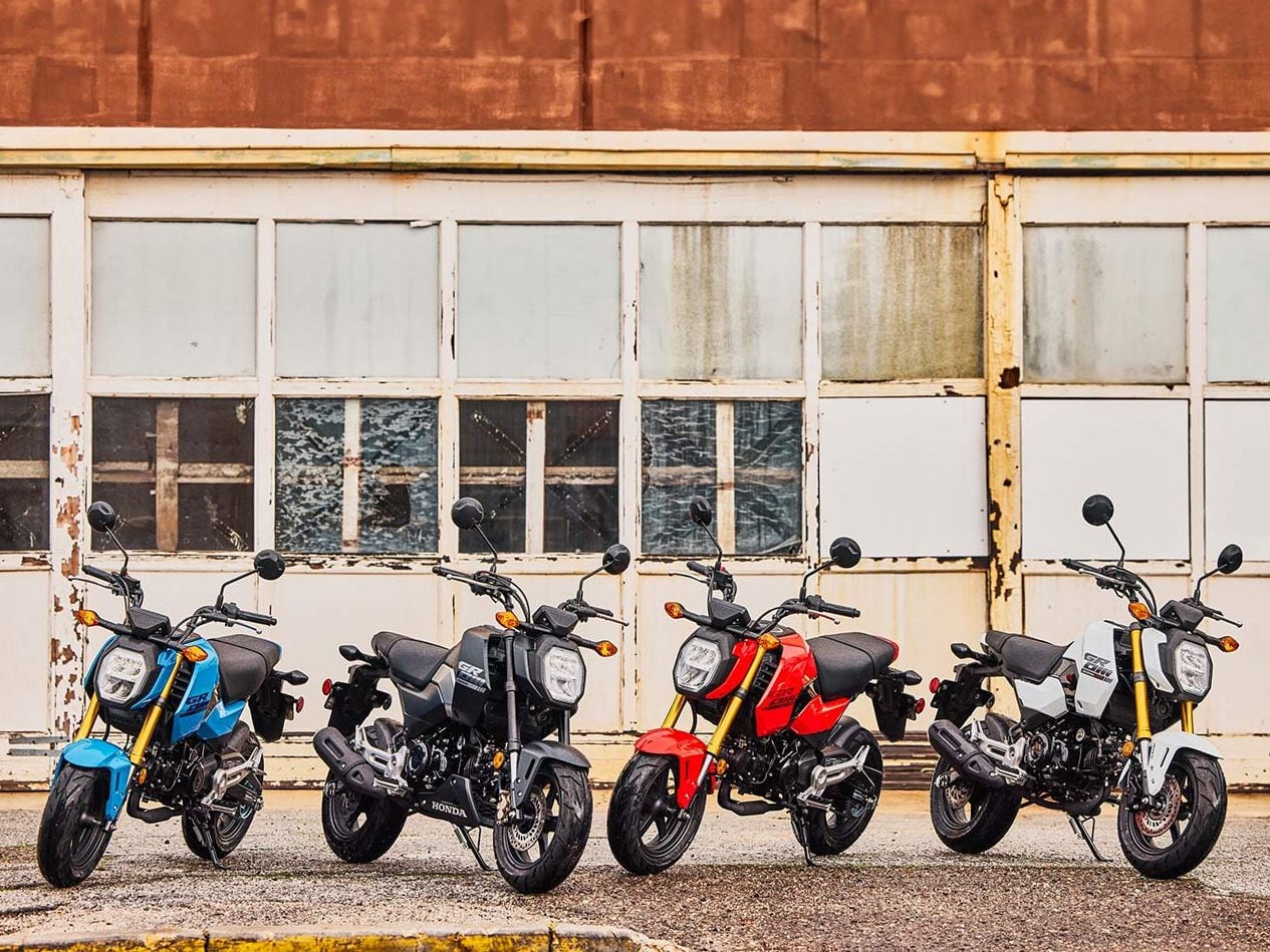 2025 Honda Grom Preview | Motorcyclist