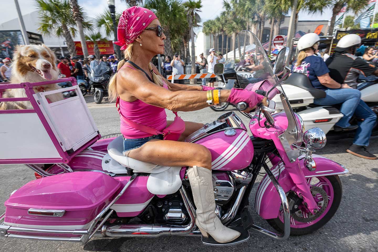Some dogs have all the luck. Making a fashion statement while riding down Daytona Beach’s Main Street.