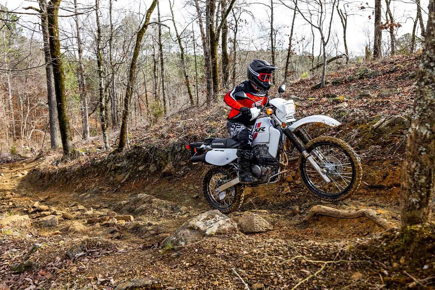 The XR650L may not be a lightweight dual sport, but it’s as robust as a sledgehammer.