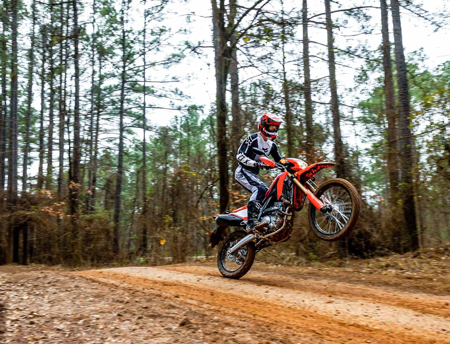 Our list of accessible and capable dual sport bikes might not be loaded with the latest features, but they bring off-road chops with street-legal versatility and can even double as commuters.
