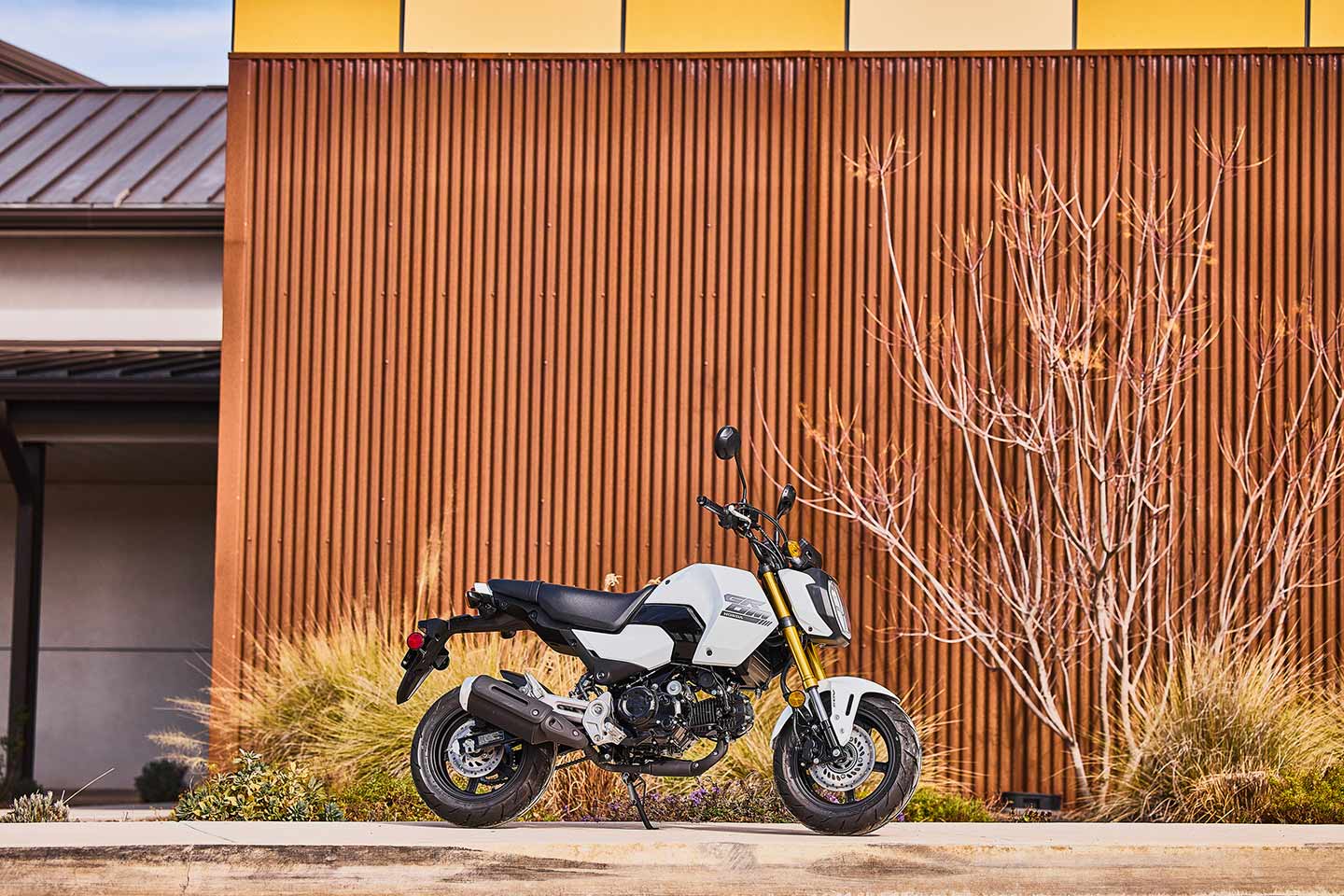 The standard 2025 Honda Grom in Pearl White will start at $3,599. The Grom ABS will also be available in the same color.
