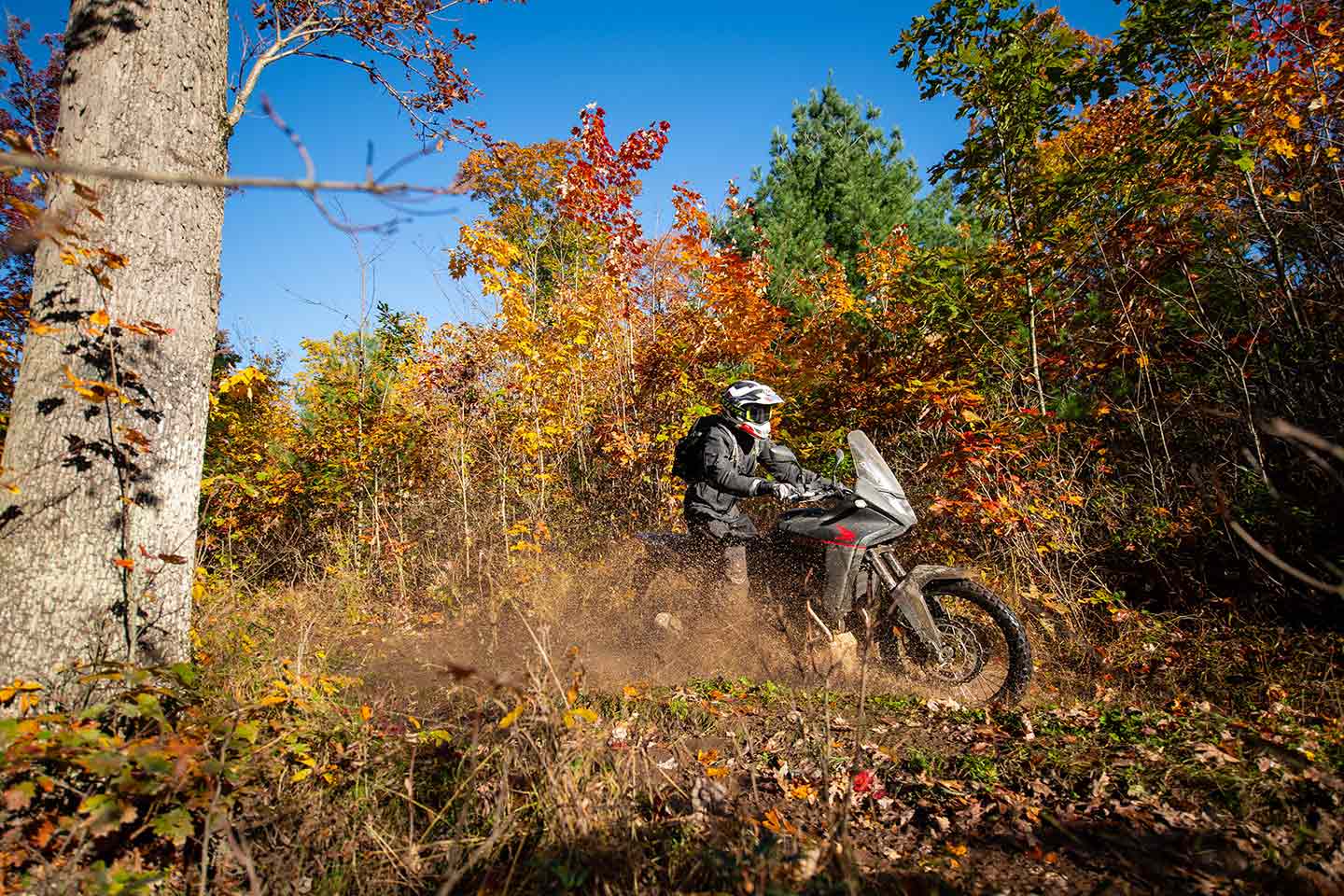 We tested the 2024 Honda Transalp on and off-road. 