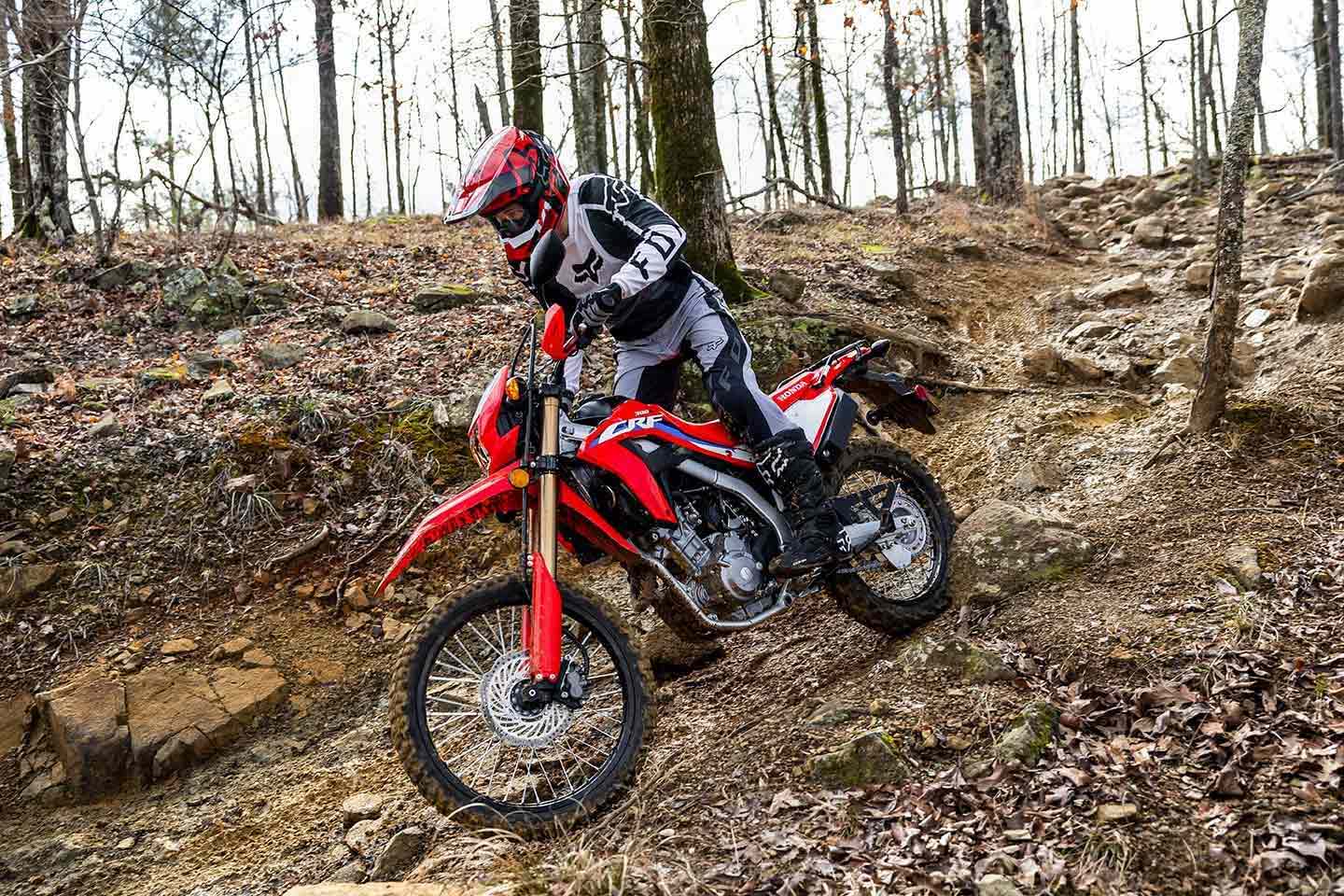Affordable, low maintenance, and highly capable. The 300L is a lot of bike for $5,449.